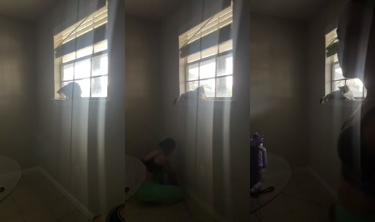 .xotrii TikTok Live — Aug 24, 2026, 7:04 PM