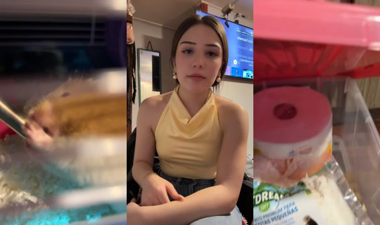 09.lonelyy TikTok Live — Aug 23, 2026, 12:48 AM