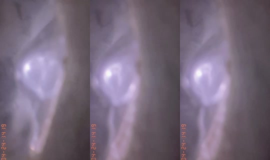 121921516geg TikTok Live — Oct 3, 2026, 8:47 PM