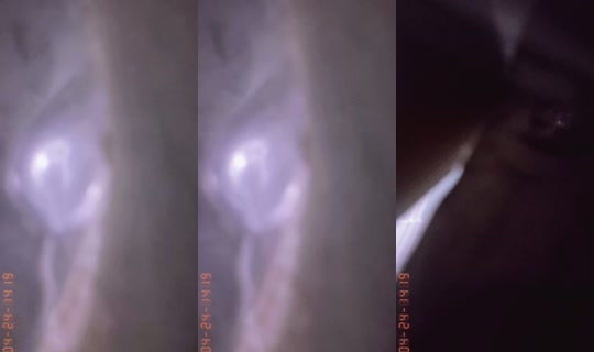 121921516geg TikTok Live — Oct 3, 2026, 9:11 PM