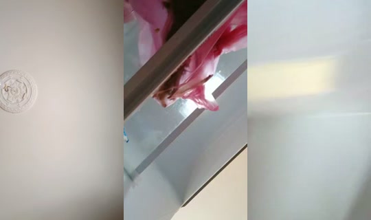 19n427 TikTok Live — Sep 17, 2026, 11:54 AM