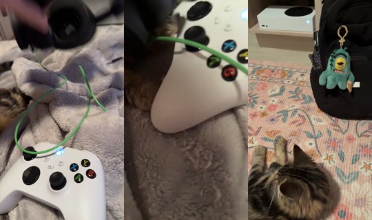 21gotme TikTok Live — Sep 2, 2026, 2:18 AM