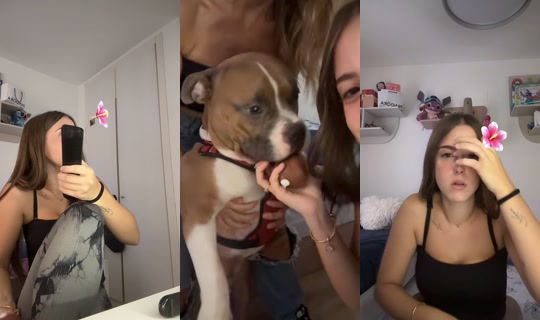 222aroitajaja TikTok Live — Sep 22, 2026, 3:36 PM
