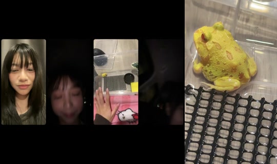 234567lll TikTok Live — Oct 7, 2026, 1:53 PM