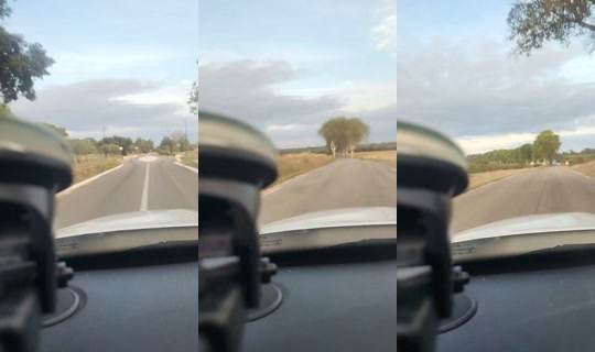 30elody TikTok Live — Oct 2, 2026, 4:46 PM