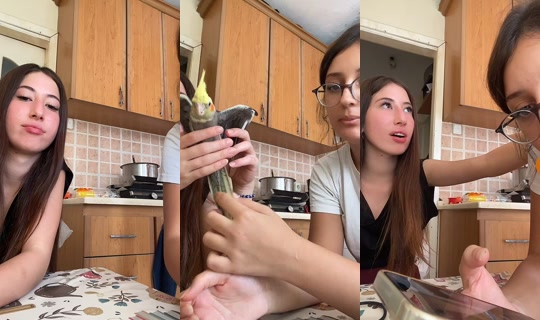 35fatmasu35 TikTok Live — Aug 31, 2026, 12:15 PM