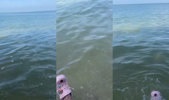 4969ahha TikTok Live — Oct 4, 2026, 2:23 AM