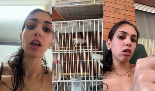_bombondelicor_ TikTok Live — Sep 30, 2026, 8:45 AM