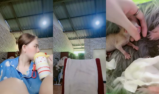 _bx.minx1890 TikTok Live — Aug 22, 2026, 3:37 AM