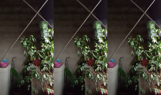 _dix.vih_05 TikTok Live — Oct 3, 2026, 4:02 PM