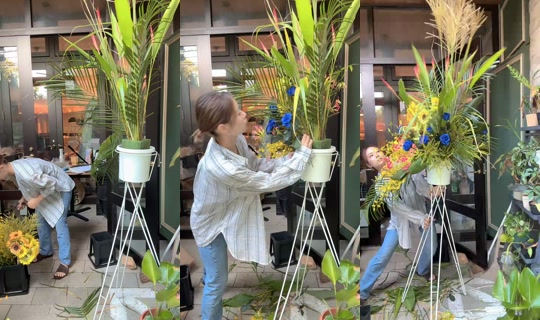 _hanamomo TikTok Live — Aug 31, 2026, 11:37 PM