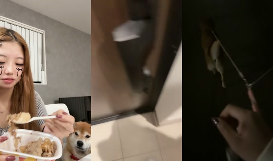 _i2oxwy TikTok Live — Oct 4, 2026, 10:28 AM