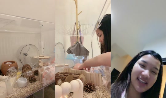 _jaophakbung TikTok Live — Aug 21, 2026, 8:42 PM