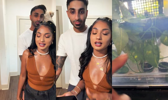 _m..j..s_ TikTok Live — Aug 22, 2026, 6:11 PM