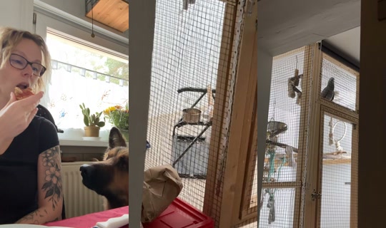_nadine_fitness_ink_ TikTok Live — Oct 3, 2026, 6:09 AM