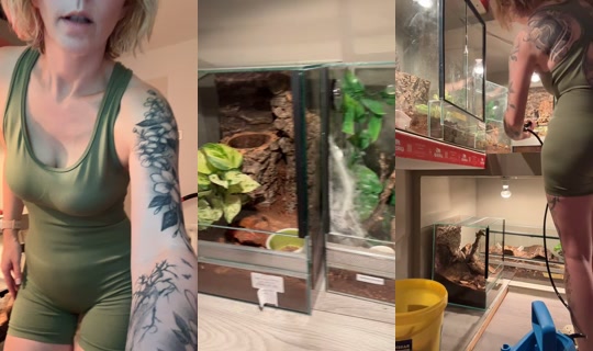 _nadine_fitness_ink_ TikTok Live — Oct 3, 2026, 2:56 PM