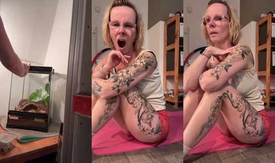 _nadine_fitness_ink_ TikTok Live — Oct 6, 2026, 3:21 PM