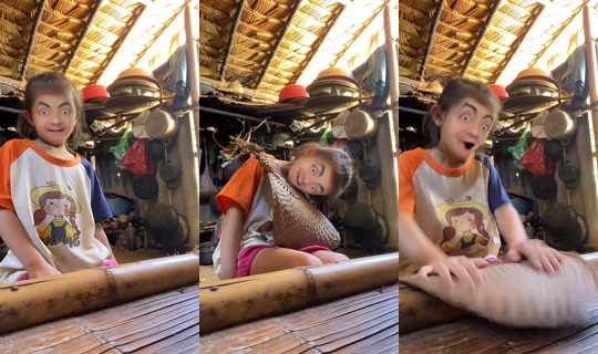 _nguyet_22082002 TikTok Live — Sep 28, 2026, 6:08 AM