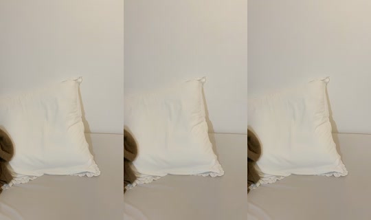 _o15__u TikTok Live — Aug 29, 2026, 4:42 PM