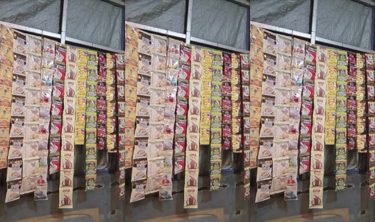 _p0pprincess TikTok Live — Aug 24, 2026, 1:04 PM