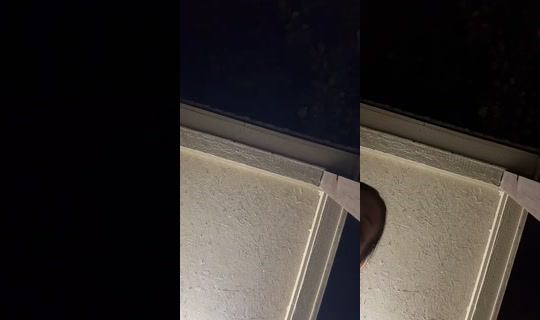 _phattbabyy_ TikTok Live — Oct 8, 2026, 5:23 AM