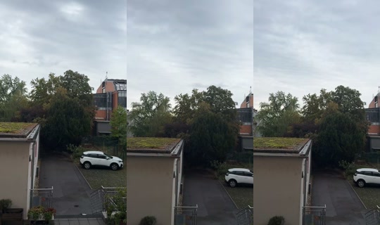 _s1fa TikTok Live — Aug 25, 2026, 7:11 AM