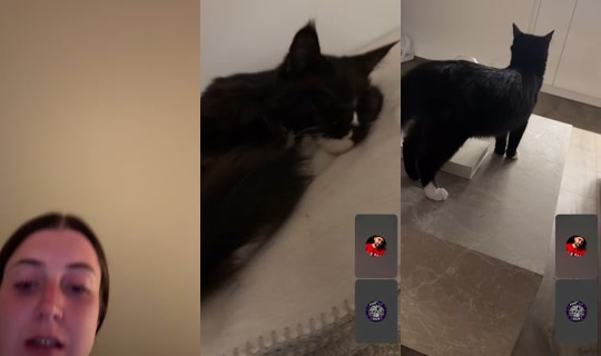 _samira03 TikTok Live — Sep 27, 2026, 11:28 PM