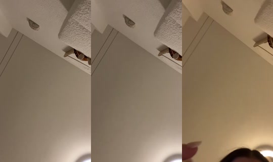 _samira03 TikTok Live — Sep 29, 2026, 8:52 PM