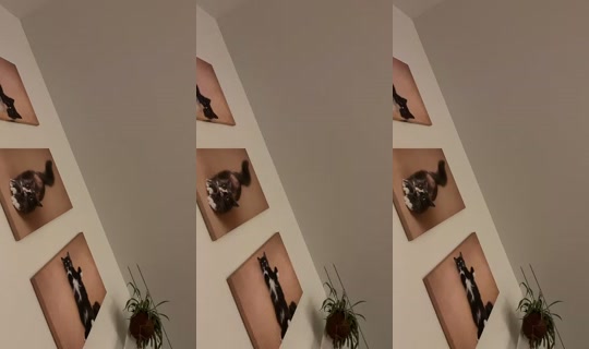 _samira03 TikTok Live — Oct 4, 2026, 10:00 PM