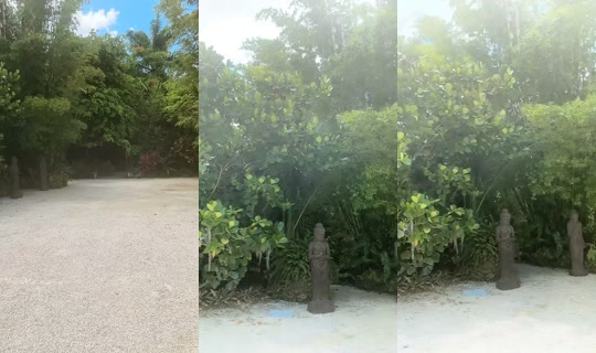 _shikiss TikTok Live — Aug 22, 2026, 6:10 PM
