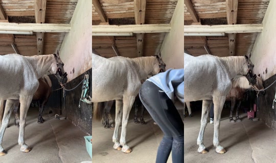 _tieracc_ TikTok Live — Aug 23, 2026, 9:37 AM
