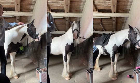 _tieracc_ TikTok Live — Aug 23, 2026, 1:21 PM