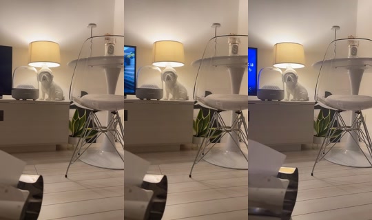 aaaaaaoooi TikTok Live — Aug 23, 2026, 12:47 PM