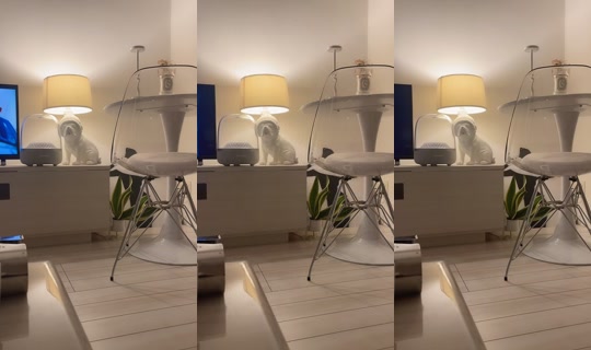 aaaaaaoooi TikTok Live — Sep 2, 2026, 5:51 PM