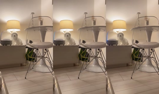 aaaaaaoooi TikTok Live — Oct 3, 2026, 2:13 PM