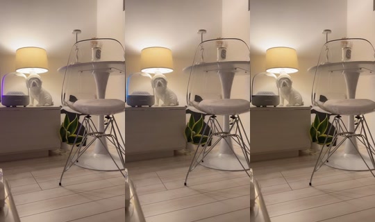 aaaaaaoooi TikTok Live — Oct 3, 2026, 3:03 PM