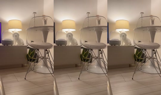 aaaaaaoooi TikTok Live — Oct 7, 2026, 7:10 PM