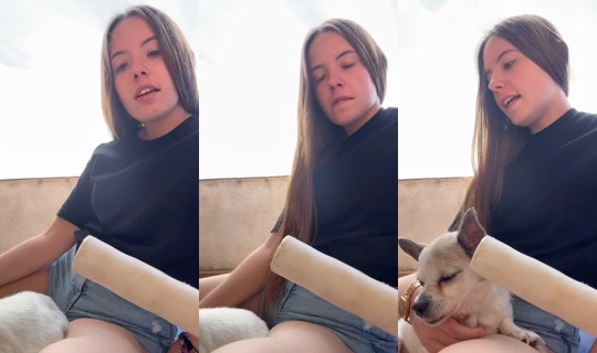 aalbins_.08 TikTok Live — Sep 1, 2026, 2:29 PM