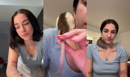 aaliyahw78_ki TikTok Live — Sep 30, 2026, 11:16 PM