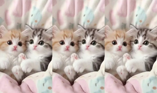 aazz7605 TikTok Live — Aug 21, 2026, 10:02 PM