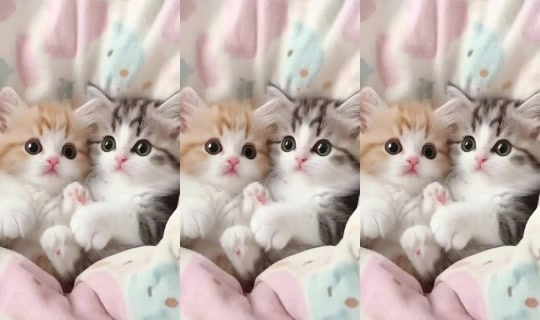 aazz7605 TikTok Live — Aug 21, 2026, 10:53 PM