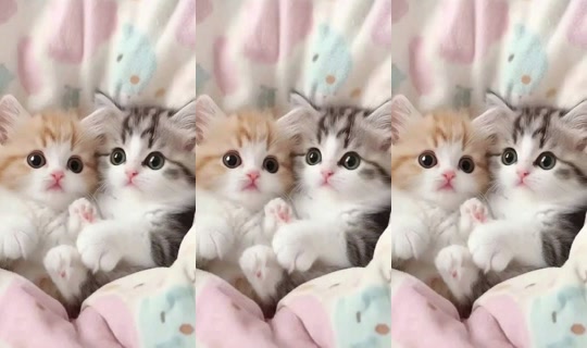 aazz7605 TikTok Live — Aug 24, 2026, 12:31 AM