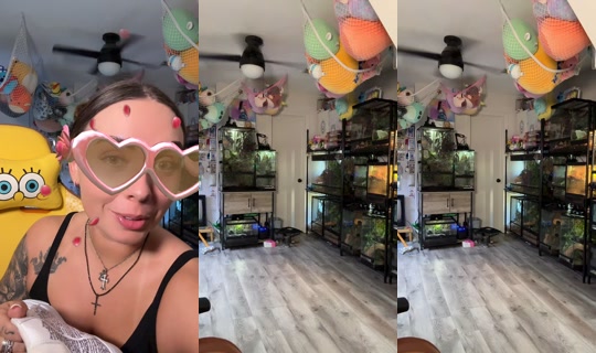 abbyberner TikTok Live — Oct 4, 2026, 9:29 PM