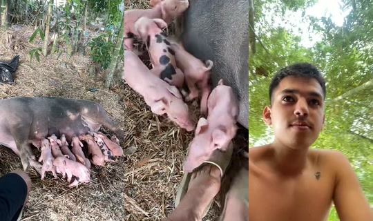 adonystravieso TikTok Live — Aug 21, 2026, 1:47 PM