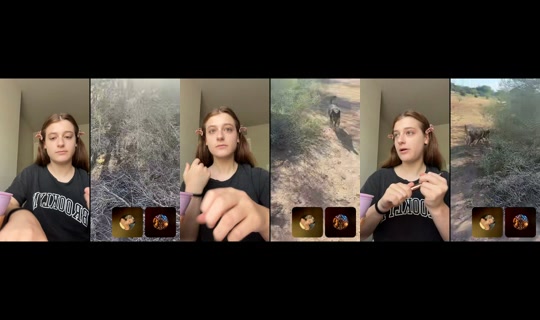 adssmarie TikTok Live — Aug 26, 2026, 3:41 PM