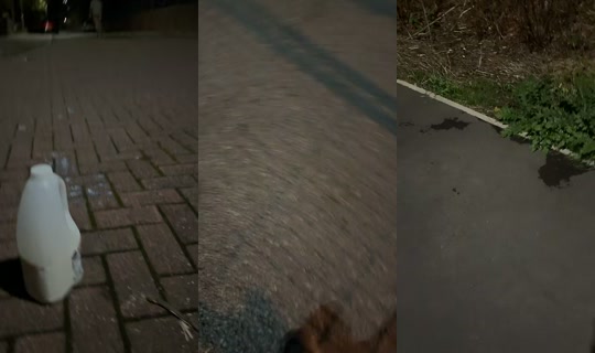 aepalmtree TikTok Live — Sep 25, 2026, 7:27 PM