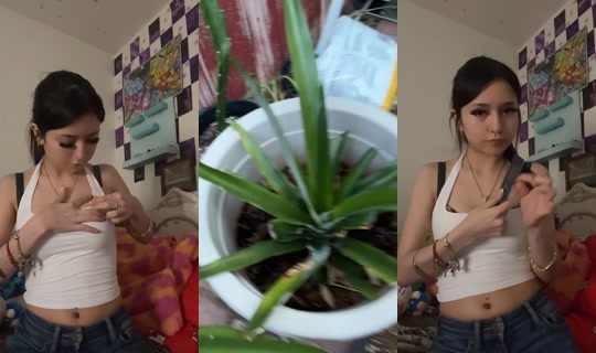 aimeee.111 TikTok Live — Sep 26, 2026, 12:05 AM