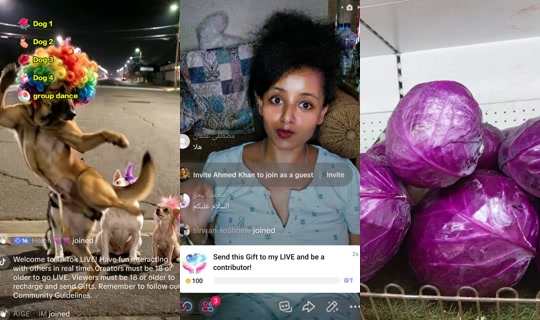 alamalamm5 TikTok Live — Oct 3, 2026, 5:10 AM