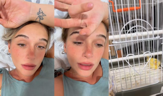 albaricosqui TikTok Live — Aug 20, 2026, 12:56 AM