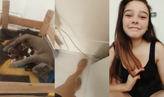 albeniderler20 TikTok Live — Oct 4, 2026, 8:17 AM